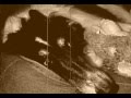 Borzoi video