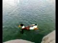 �rdeklerden Toplu K?� �evirme Hareketi(