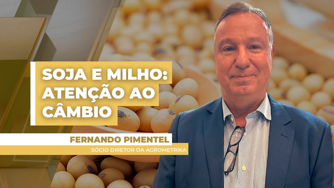 Soja tem início de semana calmo em Chicago, mas ainda bons negócios para o Brasil