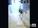 Pulling Assistance - Helping With Heavy Doors