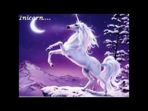 horses grand national horses grand national