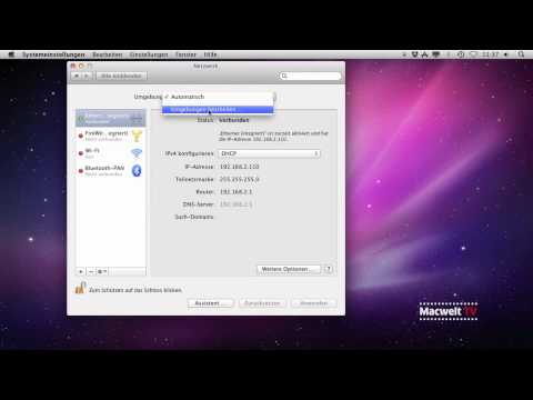 how to obtain dhcp lease