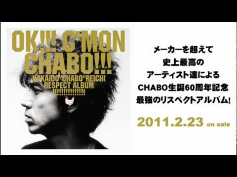 月夜のハイウェイドライブ／桜井和寿（Mr.Children）　「OK!!! C'MON CHABO!!!」