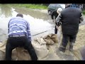 Powódź na Opolszczyźnie Woda przerwała wały na Metalchemie NTO