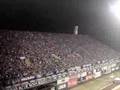 dinamo vs werder istocna tribina