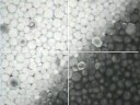 Magnified E Ink