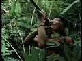 Mission Amazon