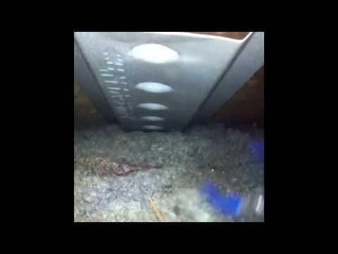 how to vent attic