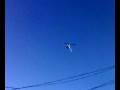 videos de helicoptero sobre tampico - paparazzi