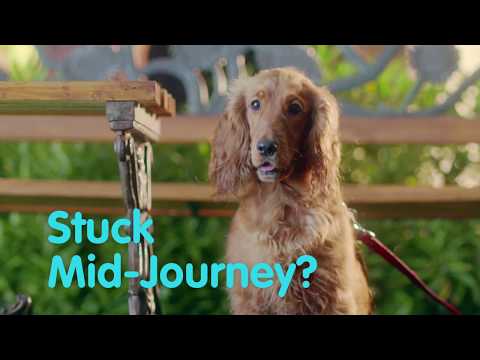 Reliance General Insurance Company Limited-The Running Dog