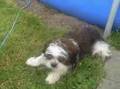 Mckenzie_06_29_08