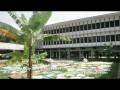 videos de uni kin