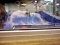 Caimen on the Flowrider