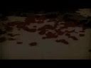 Pierre Broken Video and Lyrics