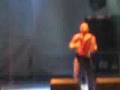 Attwenger@donauinselfest 2008