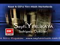 Seyfi Yerlikaya - Dünya