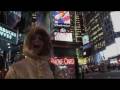 Alondra No Pasa Nada Video and Lyrics