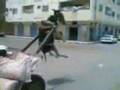 nador city