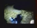 videos de Cap0011.mpg