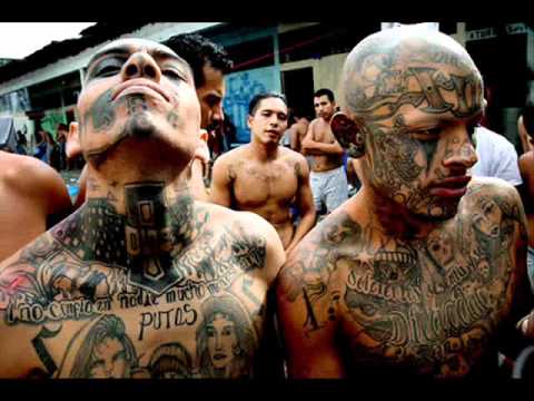 salvatruch - Video Project revealing the Notorious Mara Salvatrucha and its effect on the US and other places like El Salvador.