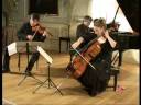 Mendelssohn Piano Trio No.1 in D minor Op.49 -  Part2