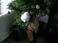 Cat christmas tree