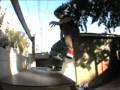 videos de Mini Ramp Mini Video #2