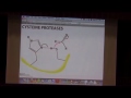 Catalytic Strategies II