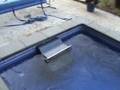 Fast lane swimming in Sarena Pool