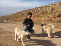KILAVUZ KÖYÜ- ÇETİNKAYA'NIN KAHVESİ,(ÖZAL AKDENİZ-NİĞDE-BOR)