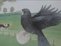 voici la c�l�bre fable de jean de la fontaine et la d�monstration que ce qui �tait vrai il y a 300 ans l'est encore aujord'hui.