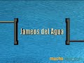 JAMEOS DEL AGUA - LANZAROTE - MUCHOVIAJE