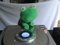 DJ-Frog-and-the-Prod