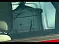 videos de Stick Insects    