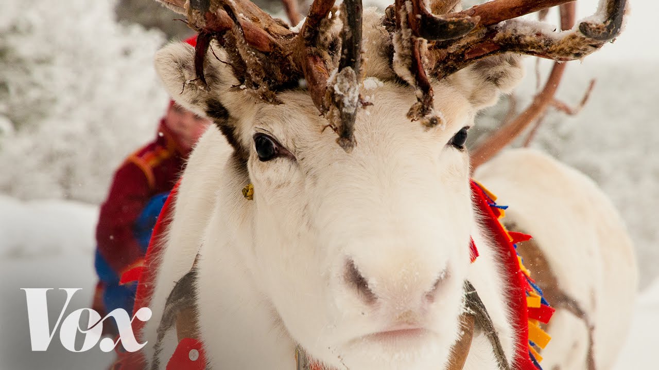 rio roma al fin te encontre descargar letra