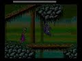 SNES - Eek The Cat
