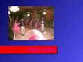 Modern Cotillion de Honor
