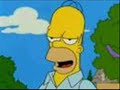 Homer Simpson-uiuaa