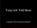 Pieces of the Yang style 24 Movement Short Form