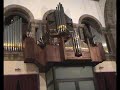Paulo Borges plays Allelluia from Kantata BWV 51 J. S. Bach