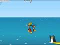 videos de surfin