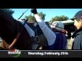 HRTV Rewind 02/28/10
