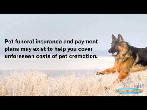 how to decide whether to be buried or cremated