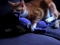 Melvin loves Tinky Winky