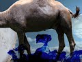 YouTubeサムネイル[BDD9MZUTQzs] - 1枚目