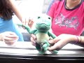FrogLicious