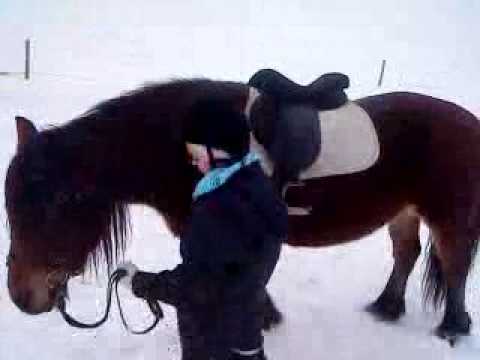 ride ride ranke