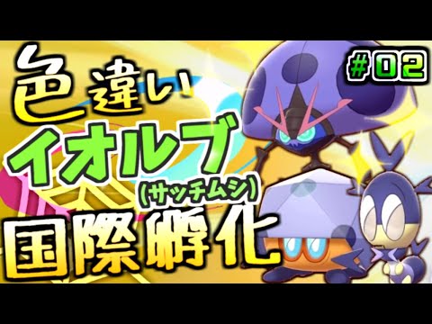 動画