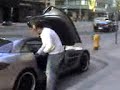 Exotics in Toronto