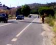LC - E ganso by c.moto VS bajolas by Lufo